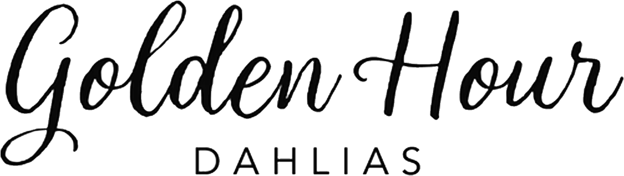 Golden Hour Dahlias logo